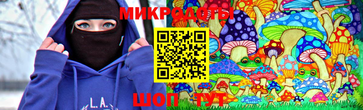 Псилоцибиновые грибы Psilocybe  Вход с VPN  Истра 